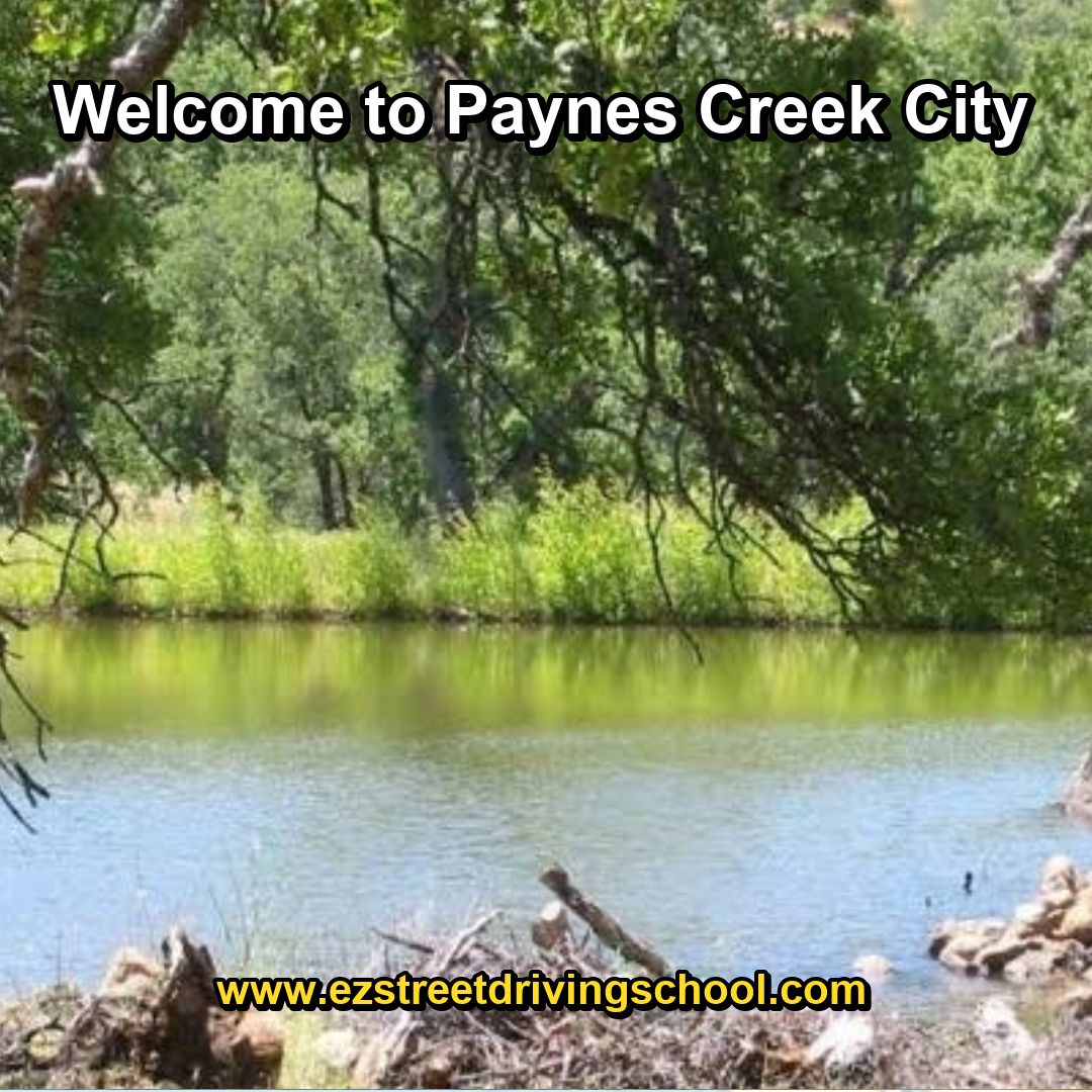 Driving Lessons in Paynes Creek